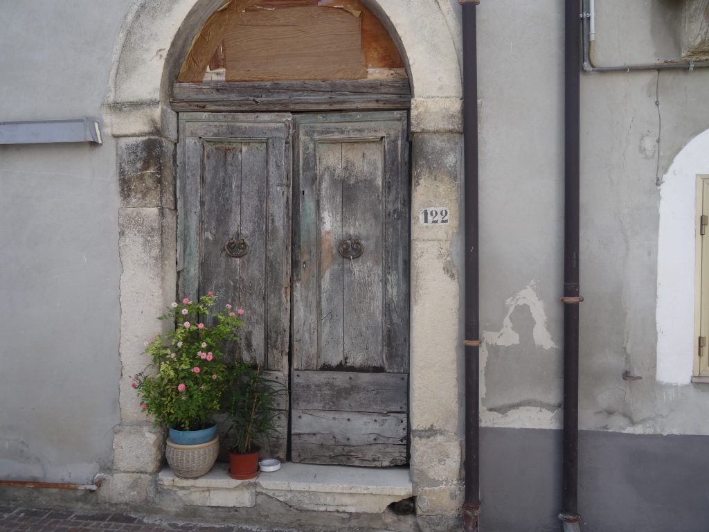 Gray door with plants